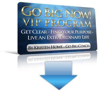 Go Big Now VIP Program coaching program